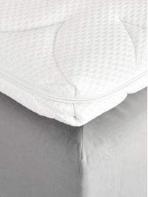 Premium Samt-Boxspringbett Lacey, Matratze: 7-Zonen-Taschenfederkern , Hellgrau, 200 x 200 cm