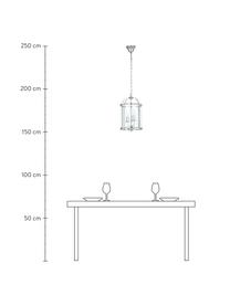 Kleine Pendelleuchte Budgie aus Glas, Lampenschirm: Glas, Baldachin: Nickel, verchromt, Chrom, Transparent, Ø 23 x H 41 cm