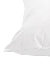 Garnissage de coussin plumes Comfort, 45 x 45, Blanc