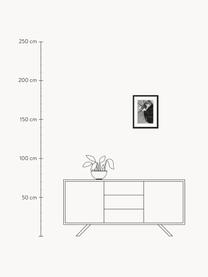 Zarámovaná fotografie James Dean with Camera, Černá, tlumeně bílá, Š 33 cm, V 43 cm