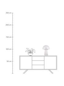 Design tafellamp Fungo van glas, Lamp: glas, Fitting: metaal, Transparant, goudkleurig, Ø 30 x H 42 cm