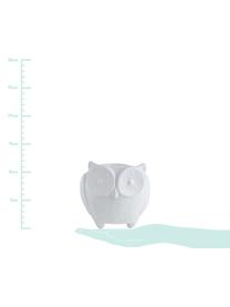 Macetero Owl, Dolomita, Blanco, Ø 11 x Al 12 cm