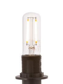 Bombilla LED Yura (E14/2W), Ampolla: vidrio, Casquillo: aluminio, Transparente, Ø 3 x Al 9 cm