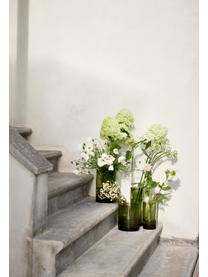 Skleněná váza Salon, V 31 cm, Sklo, Odstíny zelené, poloprůhledná, Ø 11 cm, V 31 cm