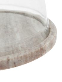 Cloche con base in marmo Cheese, Beige trasparente, Ø 25 x Alt. 14 cm