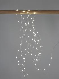 Ghirlanda di luci a LED String, bianco caldo, Plastica, Argentato, Lung. 495 cm