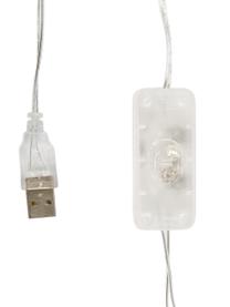 LED-Lichterkette Colorain, 378 cm, Lampions: Polyester, WFTO-zertifizi, Weiß, Beigetöne, Brauntöne, L 378 cm, 20 Lampions