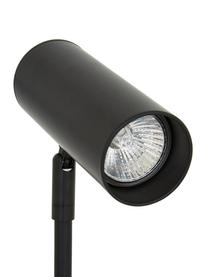 Lampa biurkowa z metalu Cassandra, Klosz: czarny, matowy Podstawa lampy: czarny, matowy Kabel: czarny, Ø 15 x W 40 cm