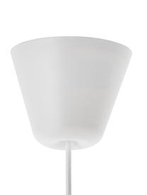 Hanglamp Strap met verwisselbare leren band, Lampenkap: gepoedercoat metaal, Baldakijn: kunststof, Wit, Ø 48  x H 46 cm