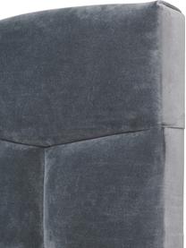 Testiera imbottita in velluto Teggan, Rivestimento: velluto (100% poliestere), Struttura: compensato, legno massicc, Velluto blu grigio, Larg. 183 x Alt. 115 cm