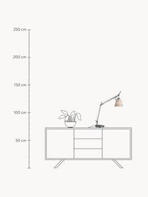 Große verstellbare Schreibtischlampe Tolomeo Basculante, Lampenschirm: Pergamentpapier, Gestell: Aluminium, beschichtet, Silberfarben, Off White, B 65 x H 66 - 75 cm