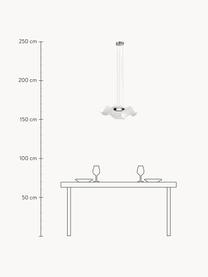 Závěsné LED svítidlo Velo, Transparentní, stříbrná, Ø 50 cm, V 50 cm