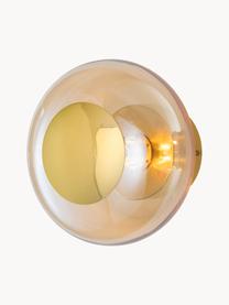 Mundgeblasene Wandleuchte Horizon, Lampenschirm: Glas, mundgeblasen, Hellbraun, Goldfarben, Ø 21 x T 17 cm