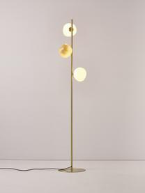 Lámpara de pie de vidrio opalino Josie, Estructura: metal cepillado, Cable: cubierto en tela, Multicolor, Al 155 cm