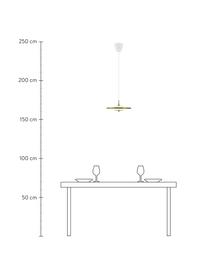 Dimbare LED hanglamp Blanche in wit/goudkleur, Lampenkap: kunststof, metaal, Baldakijn: kunststof, Wit, goudkleurig, Ø 32 x H 14 cm