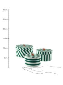 Opbergdozenset Dizzy, 3-delig, Karton, Groen, Set met verschillende formaten