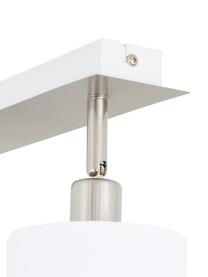 Faretti da soffitto classici Casper, Baldacchino: metallo nichelato, Paralume: tessuto, Argentato, bianco, Larg. 32 x Alt. 7 cm