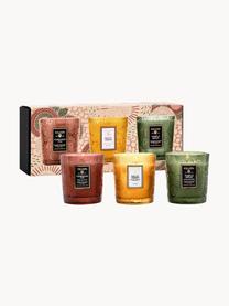 Set di 3 candele profumate fatte a mano Fragrant Foliage Demi, Contenitore: vetro, Diversi profumi, Larg. 24 x Alt. 10 cm