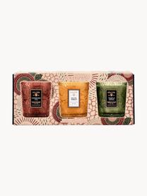 Set di 3 candele profumate fatte a mano Fragrant Foliage Demi, Contenitore: vetro, Diversi profumi, Larg. 24 x Alt. 10 cm