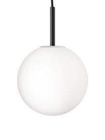 Lampada a sospensione a LED in vetro opale TR Bulb, Paralume: vetro opale, Decorazione: acciaio verniciato a polv, Baldacchino: materiale sintetico, Bianco, nero, Ø 20 x Alt. 32 cm