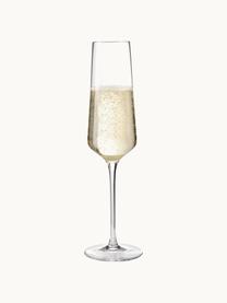 Flûtes à champagne Puccini, 6 pièces, verre Teqton®, Transparent, Ø 7 x haut. 26 cm, 280 ml