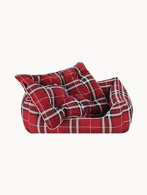 Hundebett Highlands, verschiedene Größen, Bezug: 100 % Polyester Der strap, Rot, Schwarz, Weiß, B 70 x T 50 cm