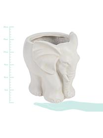 Grand cache-pot éléphant Elephant, Plastique, Blanc cassé, larg. 28 x haut. 26 cm
