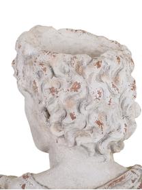 Macetero Nimus, Cemento, Blanco, An 37 x Al 44 cm