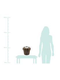 Flaschenkühler Providence im rustikalen Stil, Sektkühler: Edelstahl Außenverkleidung: Teakholz, Ø 25 x H 27 cm