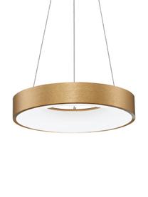 Dimmbare LED-Pendelleuchte Rando in Gold, Lampenschirm: Aluminium, beschichtet, Baldachin: Aluminium, beschichtet, Goldfarben, Ø 60 x H 6 cm