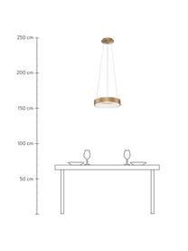 Dimmbare LED-Pendelleuchte Rando in Gold, Lampenschirm: Aluminium, beschichtet, Baldachin: Aluminium, beschichtet, Goldfarben, Ø 60 x H 6 cm