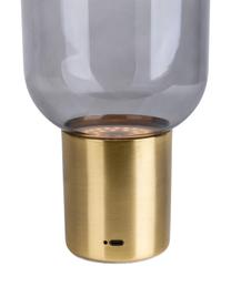 Kleine LED-Tischlampe Albero, Lampenschirm: Glas, Goldfarben, Hellgrau, Ø 13 x H 25 cm