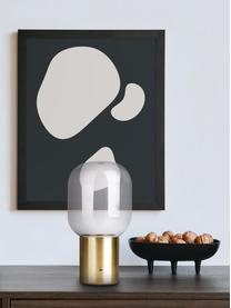 Kleine LED-Tischlampe Albero, Lampenschirm: Glas, Lampenfuß: Metall, beschichtet, Goldfarben, Hellgrau, Ø 13 x H 25 cm
