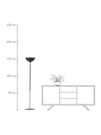 Uplighter Eglantina in zwart/goud, Lampenkap: gecoat metaal, Lampvoet: gecoat metaal, Zwart, goudkleurig, Ø 30 cm x H 155 cm