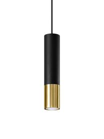 Kleine hanglamp Longbot in zwart-goudkleur, Lampenkap: gecoat staal, Baldakijn: gecoat staal, Frame: zwart gelakt eikenhout. Voet: goudkleurig, Ø 6 x H 30 cm
