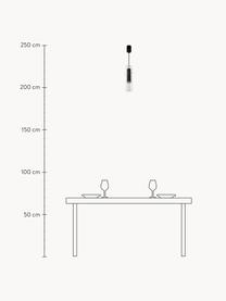 Závěsné svítidlo Dynamics, Transparentní, černá, Ø 8 cm, V 56 cm