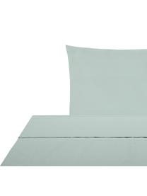 Drap plat en percale de coton Elsie, Vert sauge, larg. 240 x long. 300 cm