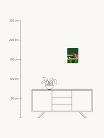 Plakát Still Here, 210g matný papír Hahnemühle, digitální tisk s 10 barvami odolnými vůči UV záření, Odstíny zelené, růžová, Š 30 cm, V 40 cm