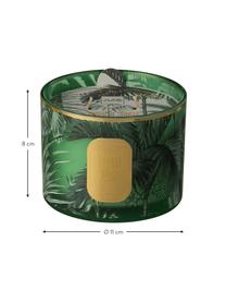 Vela perfumada dos mechas Tropical Jungle, Recipiente: vidrio, Verde, dorado, Ø 11 x Al 8 cm