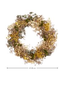 Corona de flores secas Harvest, Ø 38 cm, Flores secas, Amarillo, marrón, beige, verde, Ø 38 x Al 8 cm