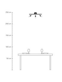 Deckenstrahler Row in Schwarz, Baldachin: Metall, lackiert, Schwarz, 60 x 20 cm