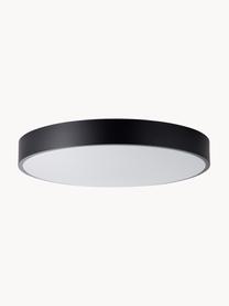 Plafonnier LED avec disque tamiseur Slimline, Noir, blanc, larg. 49 x haut. 9 cm