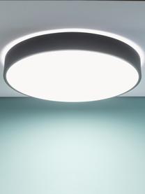 Plafón LED con difusor Slimline, Estructura: metal recubierto, Negro, blanco, Ø 49 x Al 9 cm