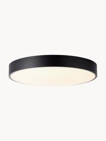 Plafón LED con difusor Slimline, Estructura: metal recubierto, Negro, blanco, Ø 49 x Al 9 cm