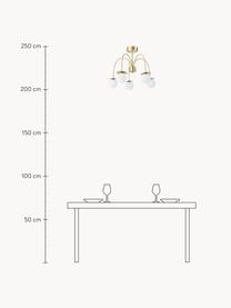 Lámpara de techo Milo, Estructura: hierro recubierto, Blanco, dorado, Ø 55 x Al 46 cm