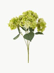 Fleur artificielle Hortensie, Plastique, polyester, métal, Tons verts, long. 49 cm