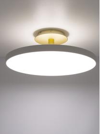 Plafonnier LED design Asteria, Blanc crème, couleur dorée