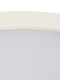 Plafoniera a LED di design Asteria, Paralume: alluminio verniciato, Bianco crema, dorato, Ø 60 x Alt. 21 cm