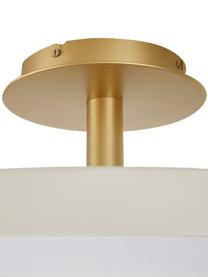 LED plafondlamp Asteria, Lampenkap: aluminium, gelakt, Crèmewit, goudkleurig, Ø 60 x H 21 cm