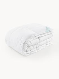 Donzen cassette-dekbed Comfort, warm, Warm, B 200 x L 200 cm